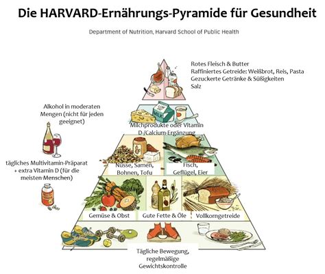 nutrition übersetzung